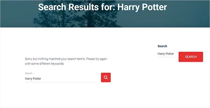 自定义文章类型内容无搜索结果