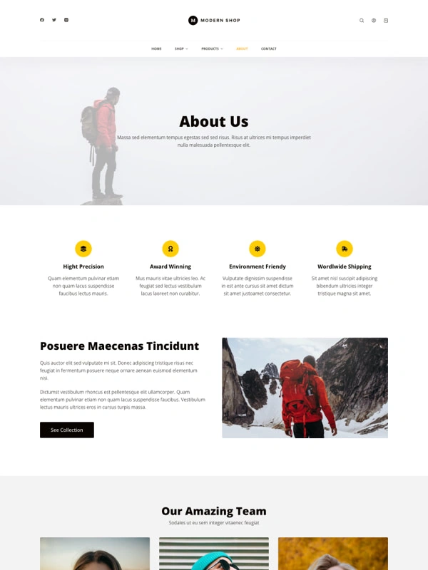 Modern Shop 05 关于页面