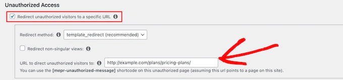 Enter pricing page URL for unauthorized access