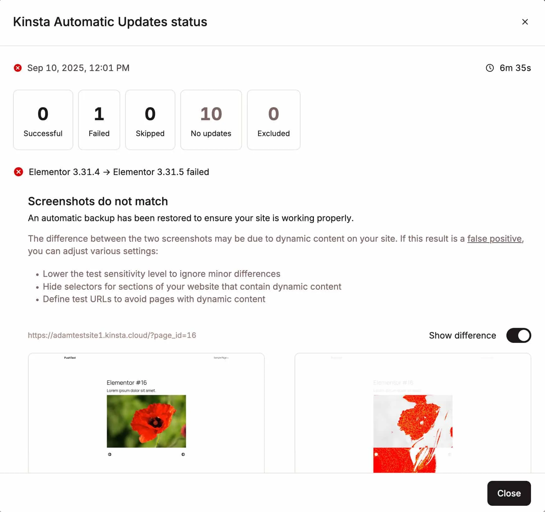 MyKinsta 中的自动更新失败