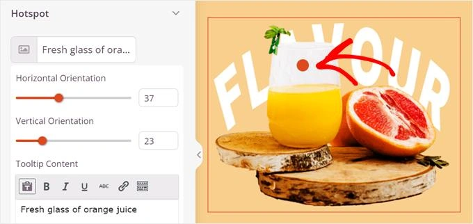 Customizing the image hotspot settings in SeedProd