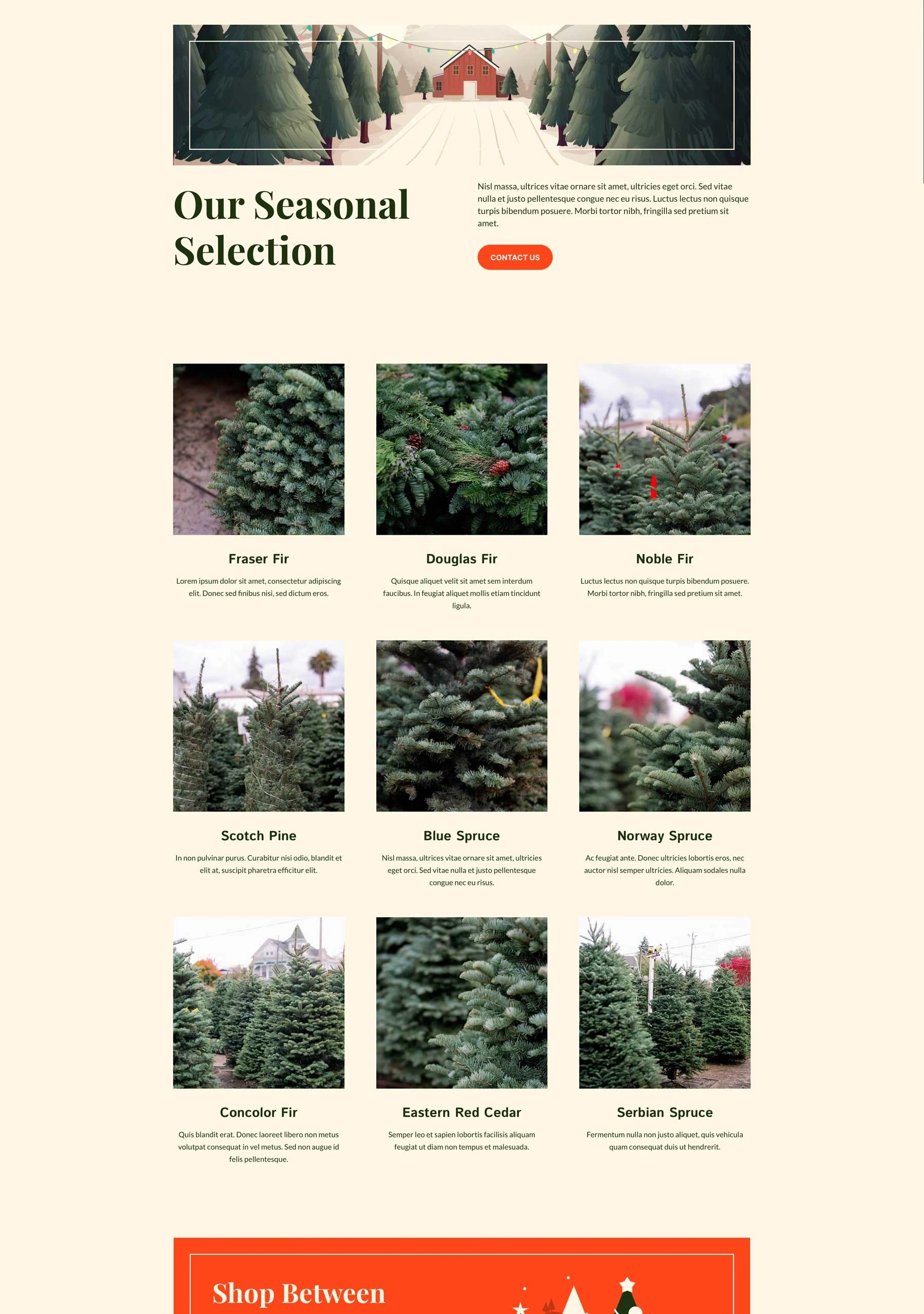 Christmas Tree Farm