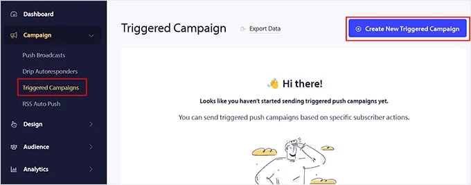 Click the Create New Campaign button