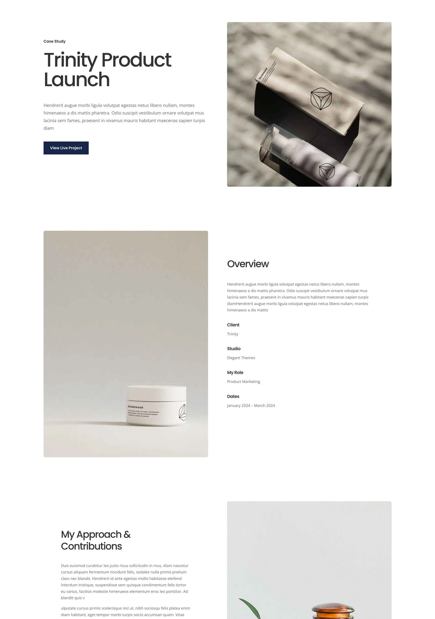 商务简历项目页