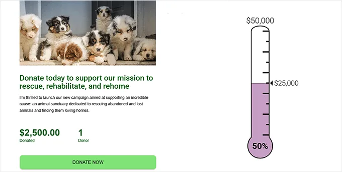 简单筹款温度计的预览