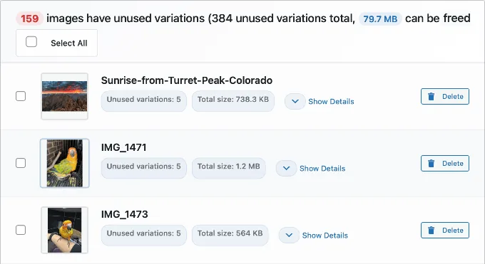 WP Media Cleanup Lists Unused Image Variations