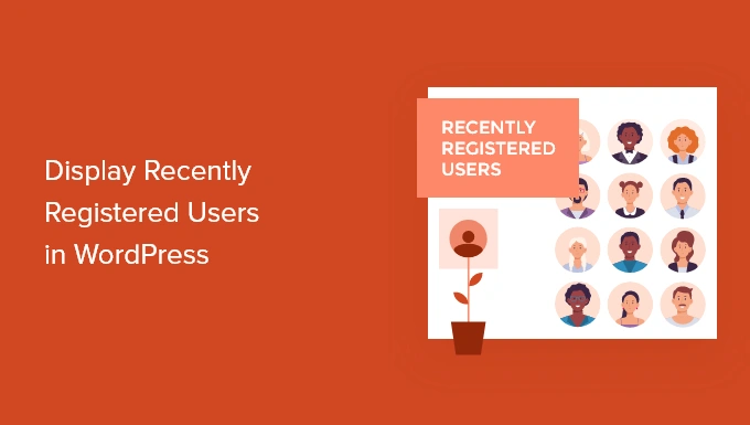 如何在WordPress中显示最近注册的用户