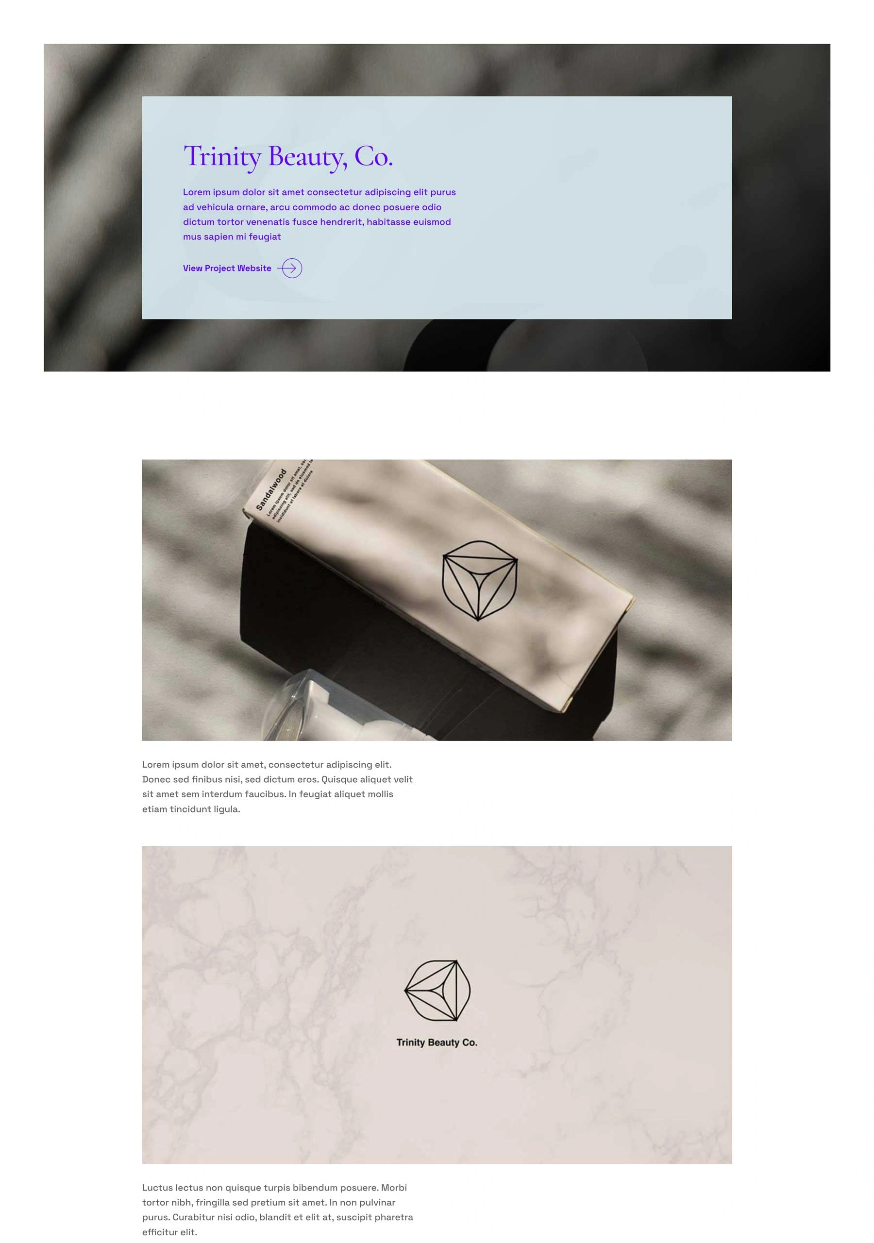 创意总监项目页面