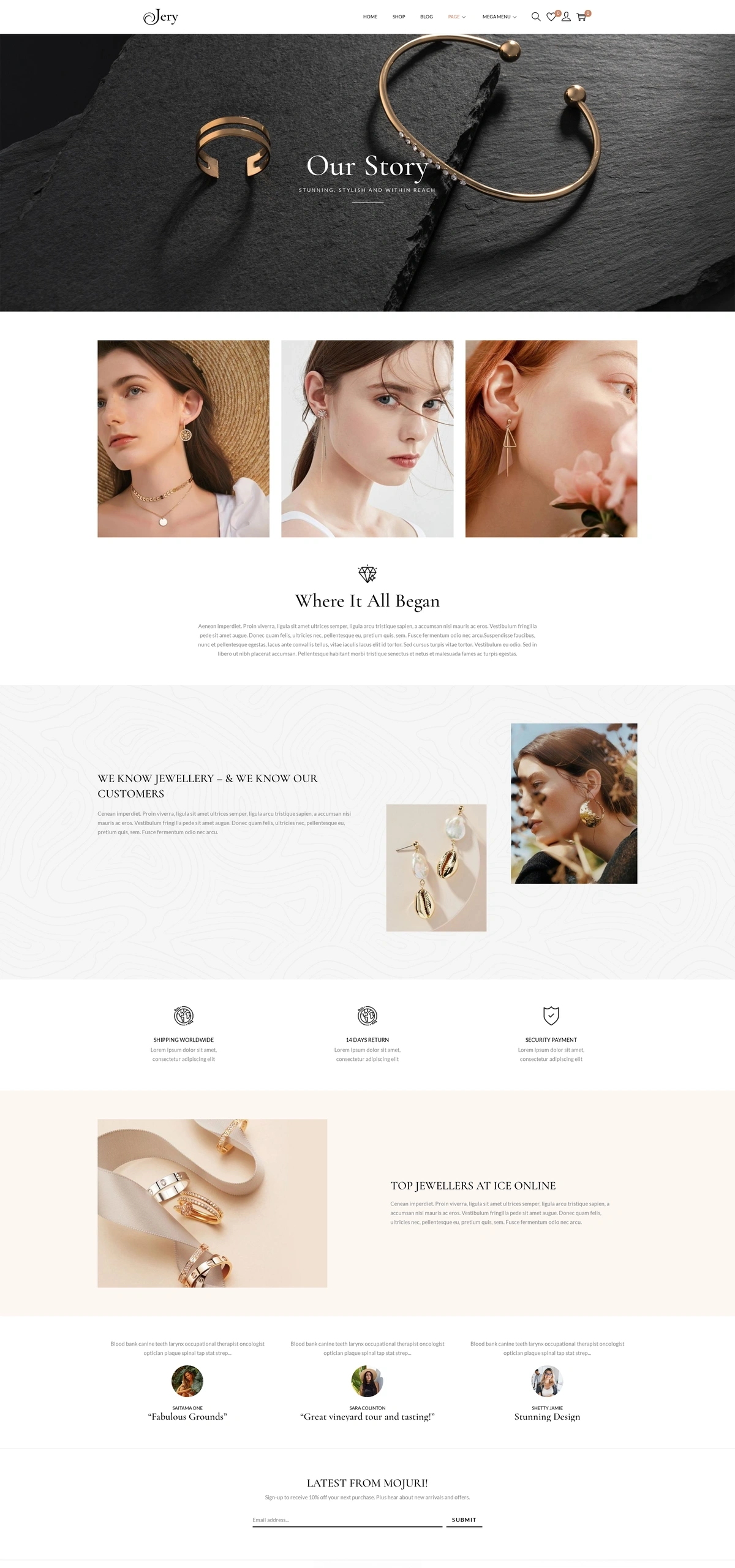 Jery New Pro 04 About Us