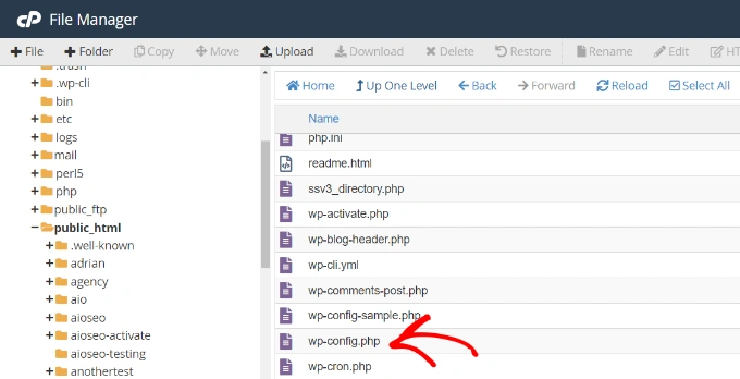 下载 wp-config 文件