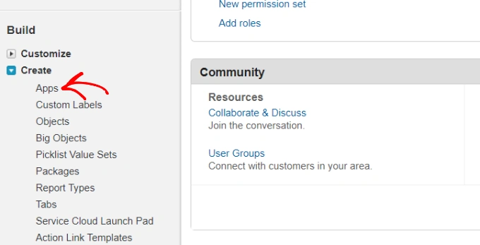 在 Salesforce 中创建应用程序