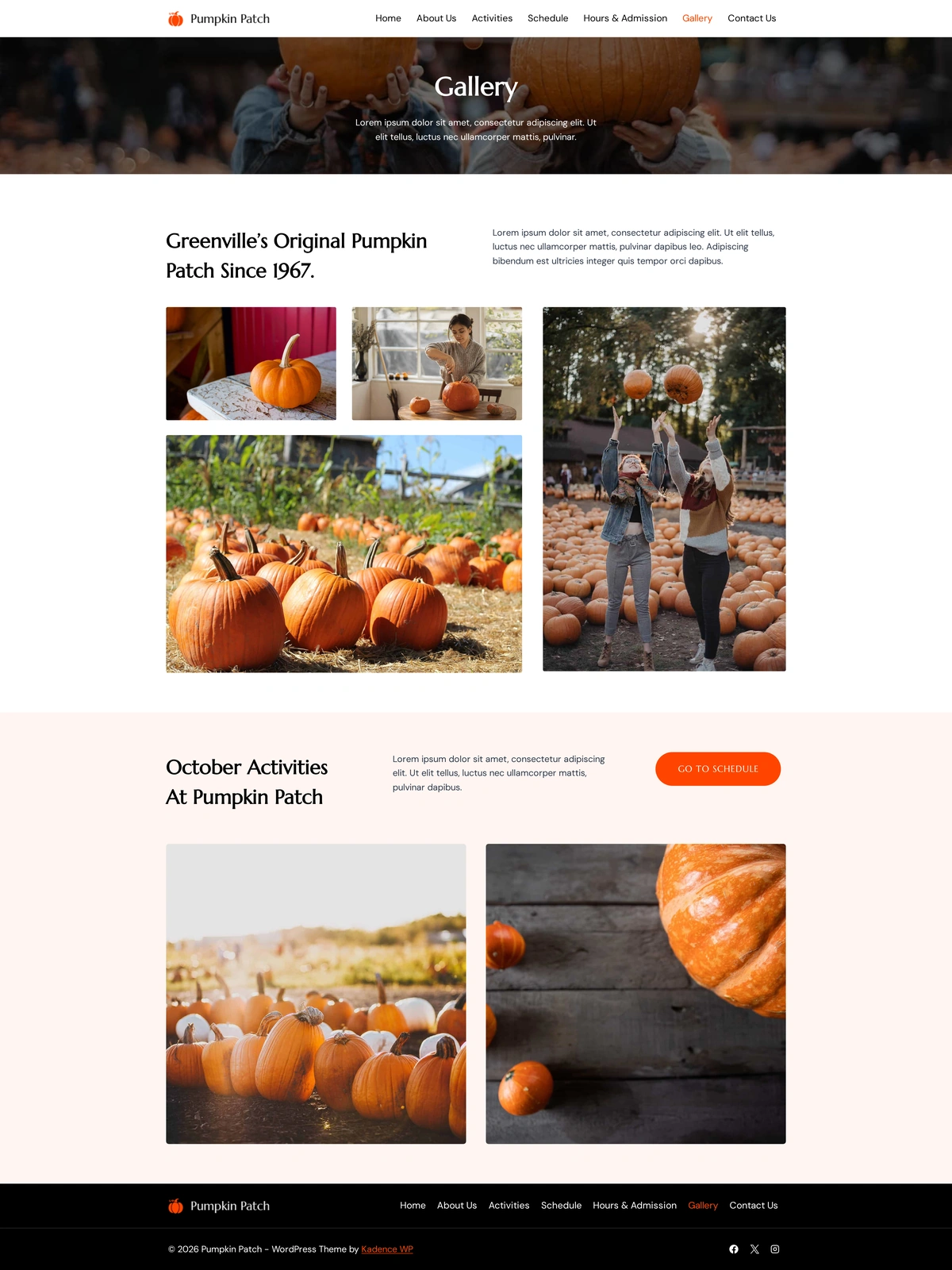 Pumpkin Patch 06 图库