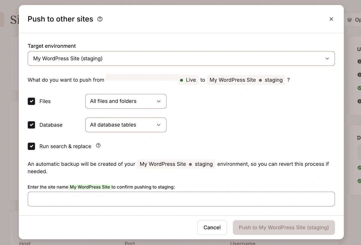 显示推送文件、数据库或运行搜索和替换选项的 MyKinsta 推送到正式环境界面。