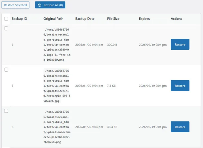 restore deleted versions