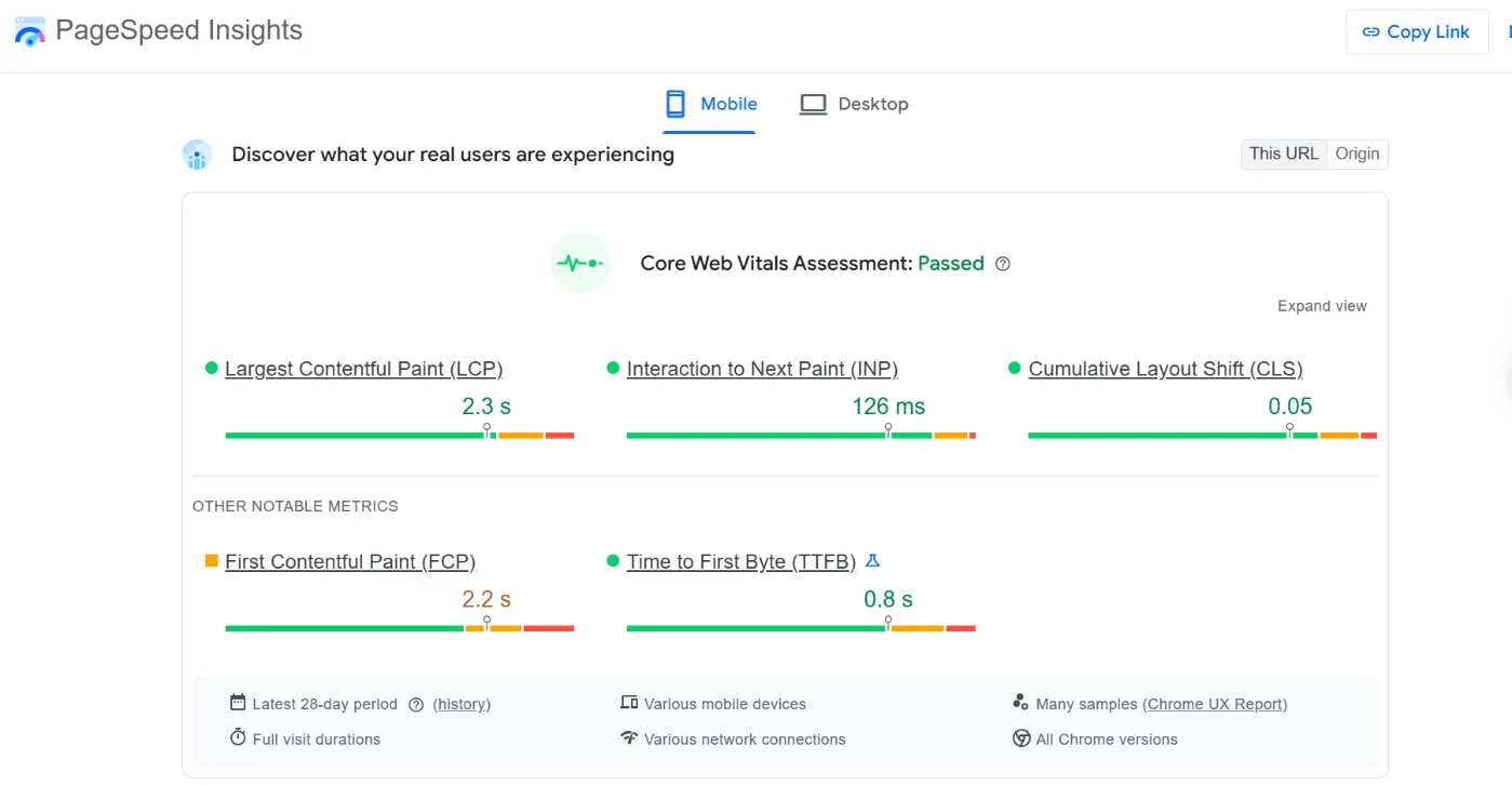 PageSpeed Insights 上的网站速度测试