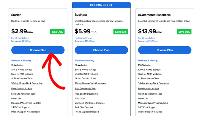 Choose Bluehost pricing plan