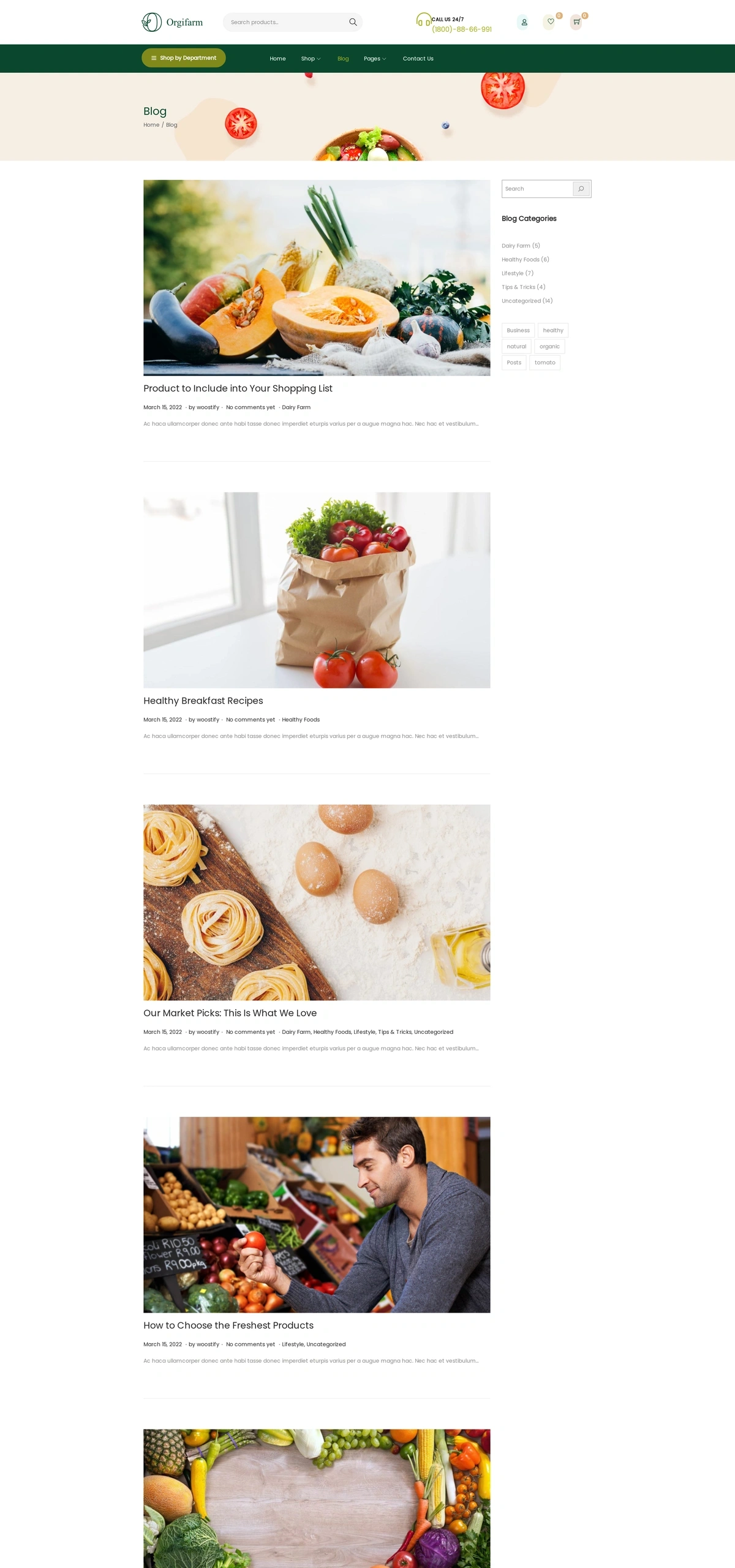 Orgifarm – Food store Food Store New 03 Blog