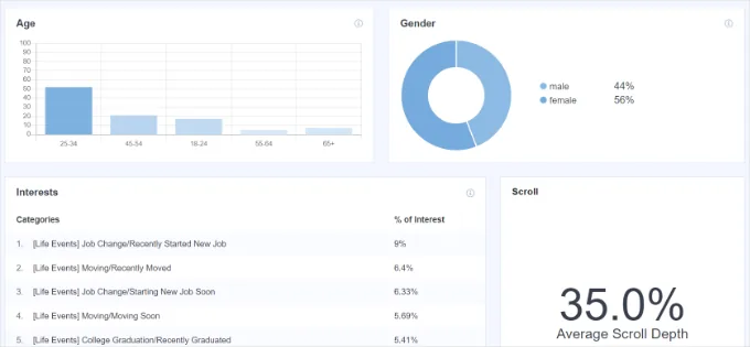 Demographics and interest reports
