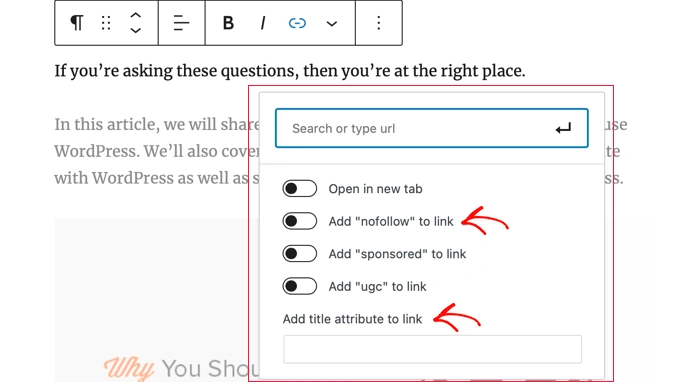AIOSEO 插入链接弹窗添加NoFollow和Title属性