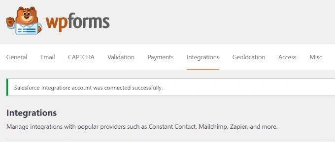 查看成功集成消息