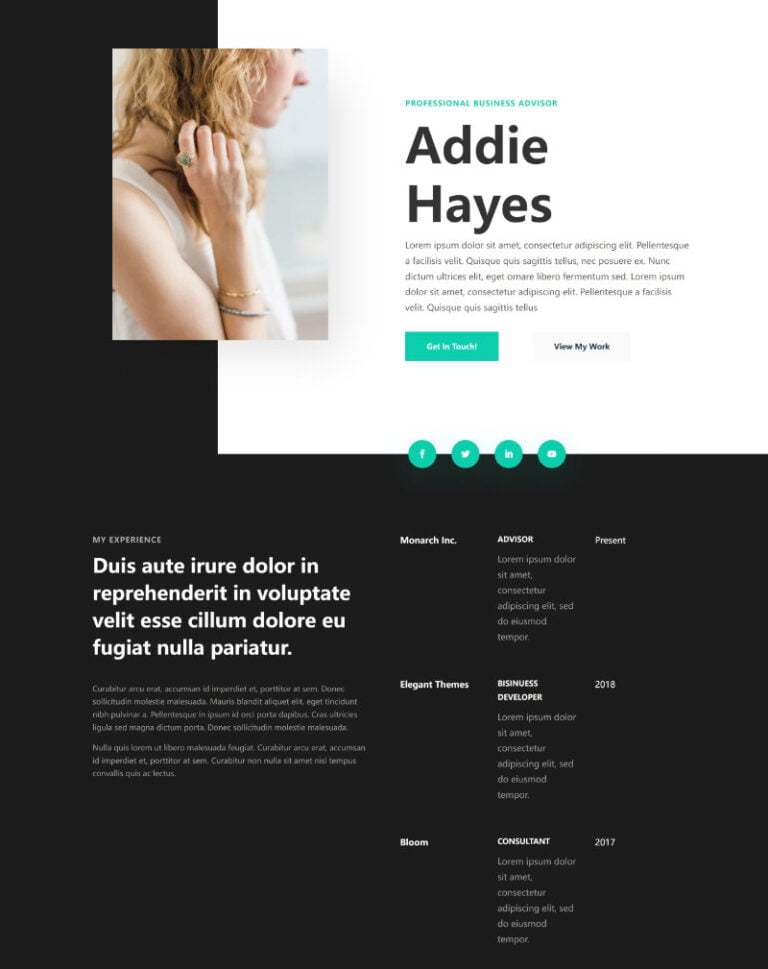 professional cv