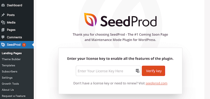 如何在WordPress中添加背景图片(6种简单方法) 14 seedprod license key