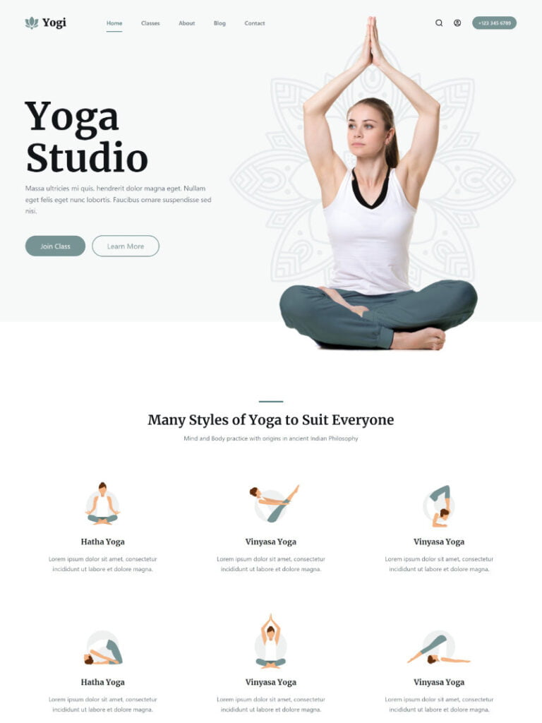 yogi