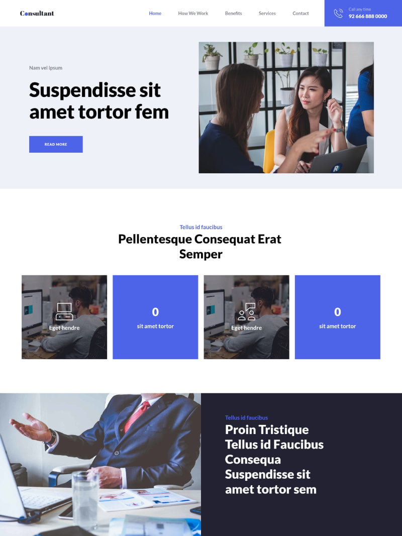 consultant