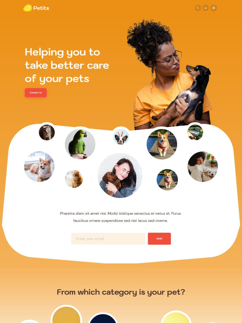 pet care