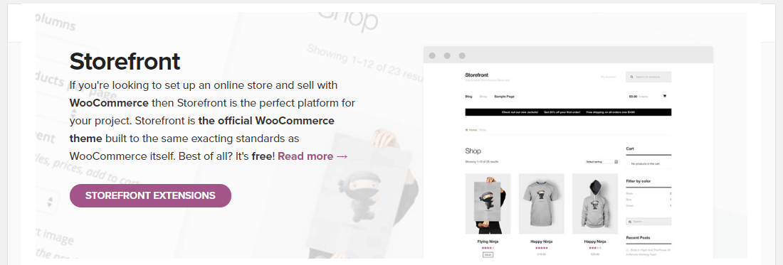 Opt for a fast WooCommerce theme (Image source: WP Rocket)
