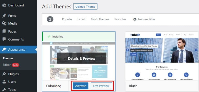 Activate and Live Preview Option How to Change Theme in WordPress