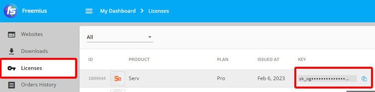 Serv:WordPress主题--为您的FSE网站提供新设计 15 License Key Tab