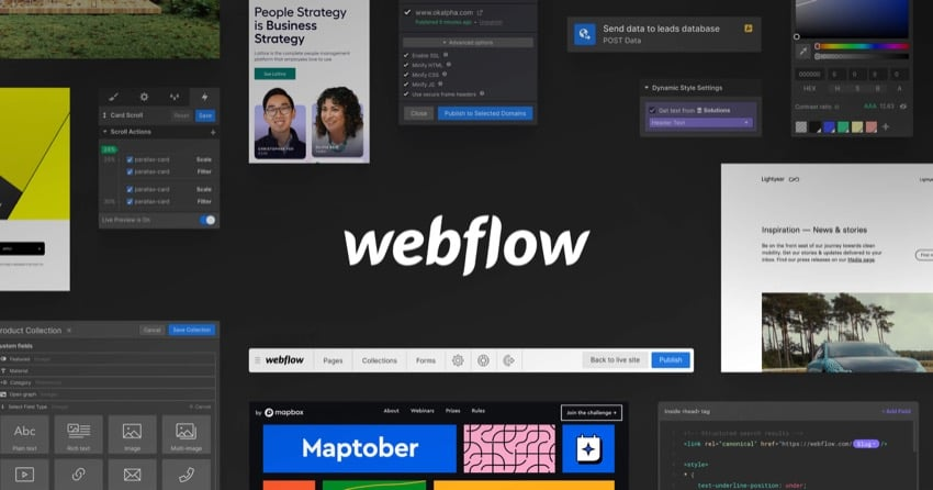 从Webflow迁移到WordPress指南 3 image 37