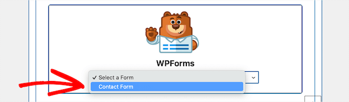 如何在 WordPress 中创建联系表单 19 image 53