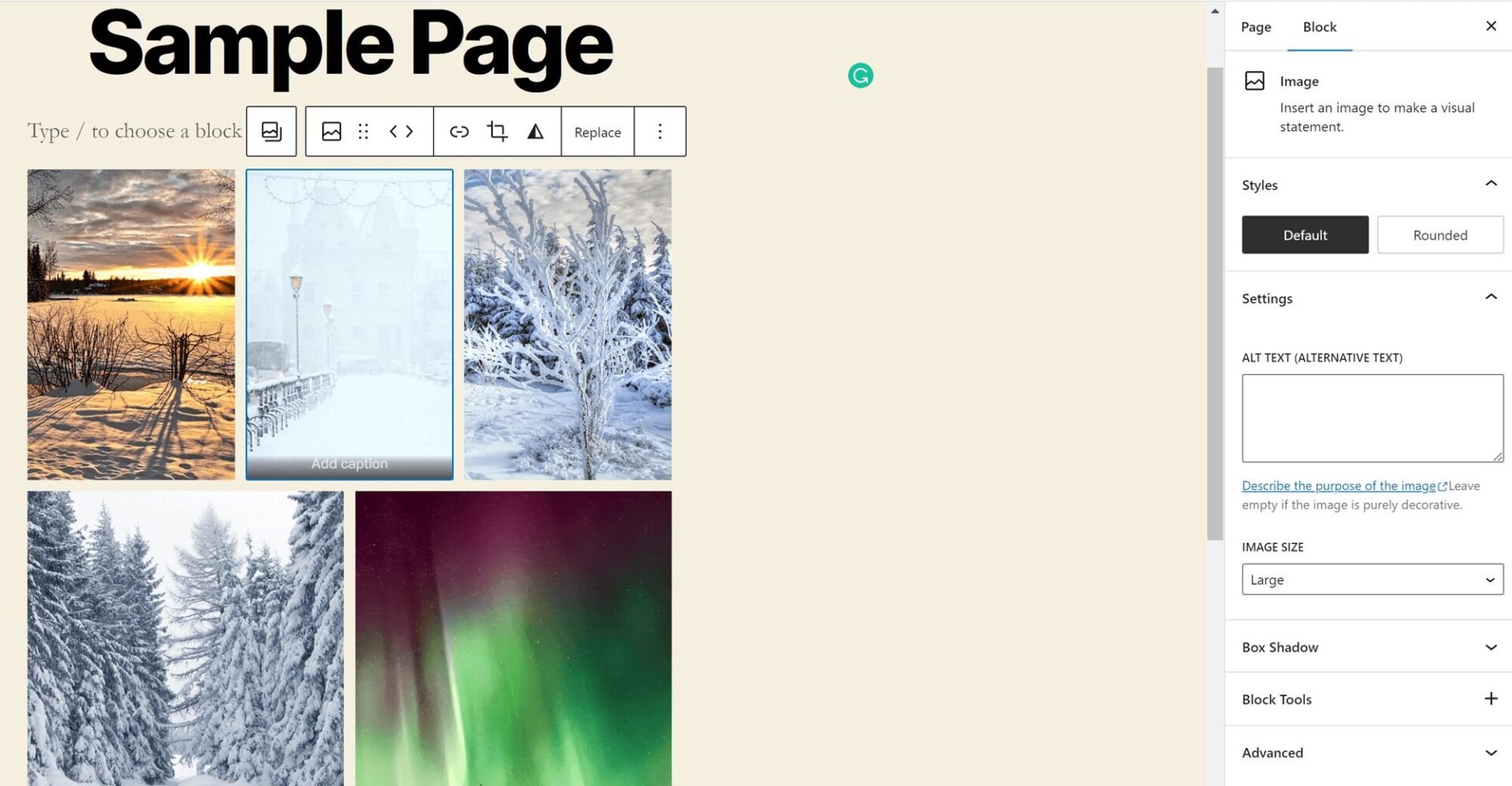 Captions and alt text 1