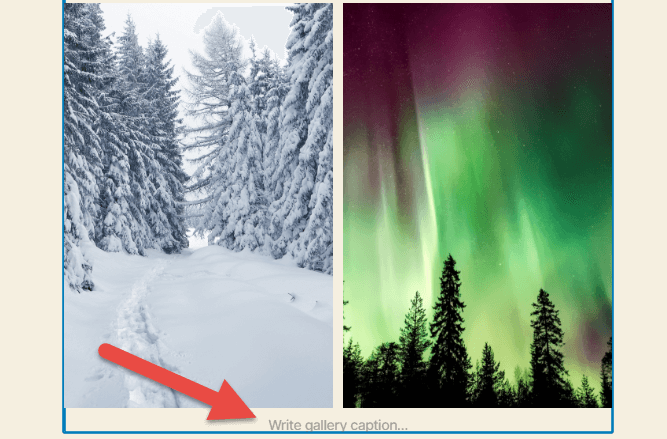 Gallery caption small 1