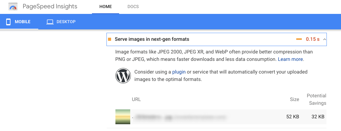 Google PageSpeed Insights Image Format