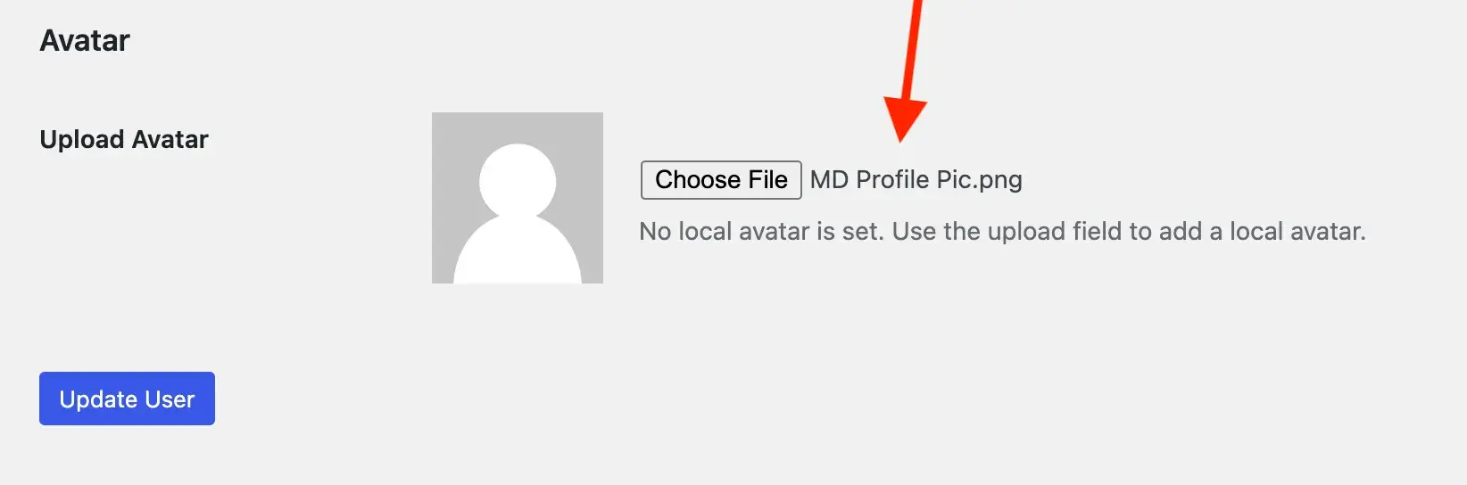 无需 Gravatar 设置 WordPress 头像(以及如何将其添加到文章中) 3 Showing file name of chosen avatar image
