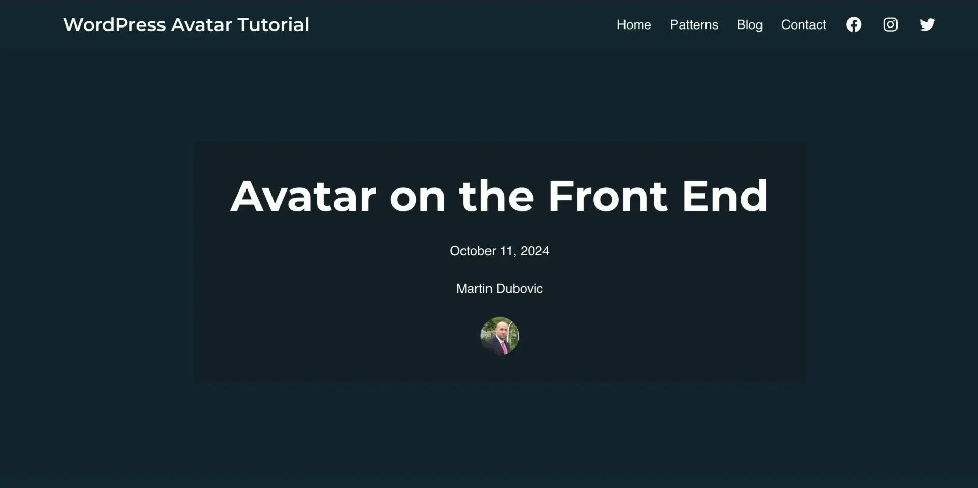 无需 Gravatar 设置 WordPress 头像(以及如何将其添加到文章中) 15 Viewing the frontend of the site and the avatar image