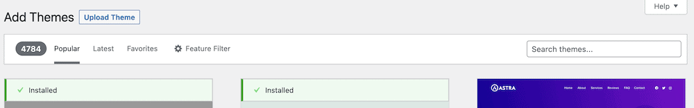 如何安装 WordPress 主题:新手入门指南 7 add themes filter