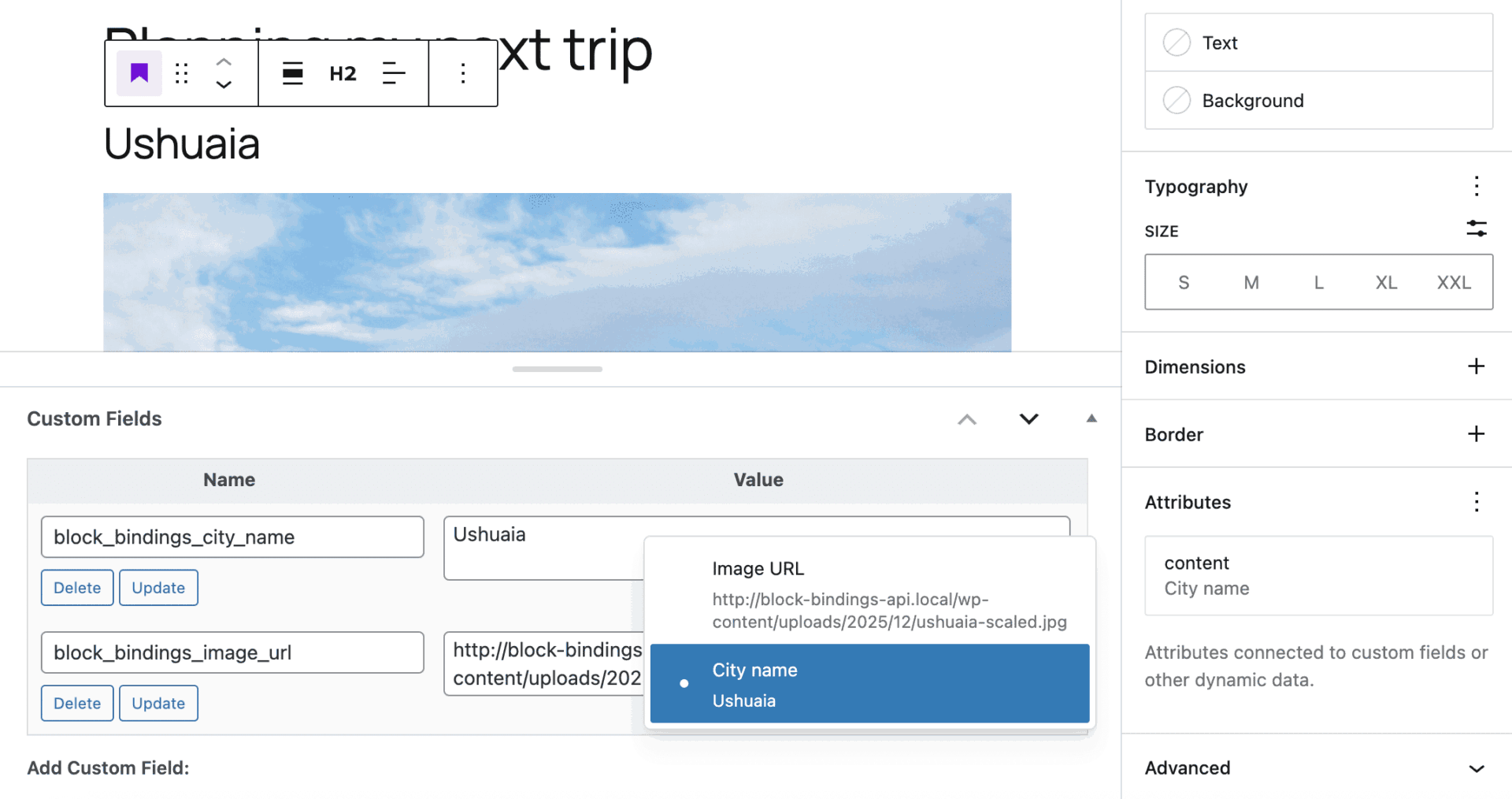custom field label in block bindings ui