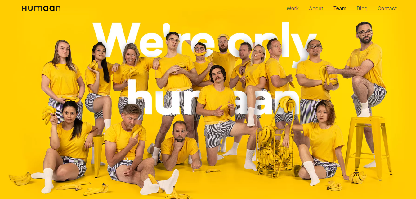 如何在 WordPress 中创建“团队介绍”页面 7 humaan 1