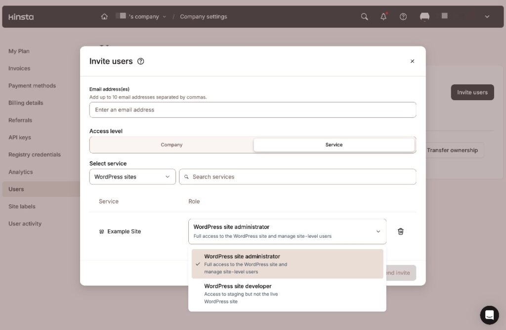 kinsta access controls 1024x669 1
