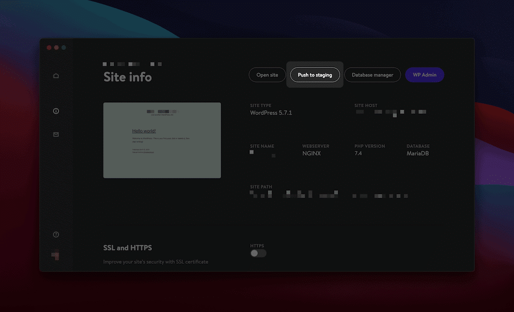 使用 Kinsta 多环境设置实现敏捷交付 3 kinsta site info