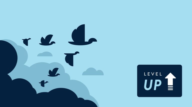 WordPress 开发者博客中的黄金指南和隐藏瑰宝 3 levelup mdb fallback 14