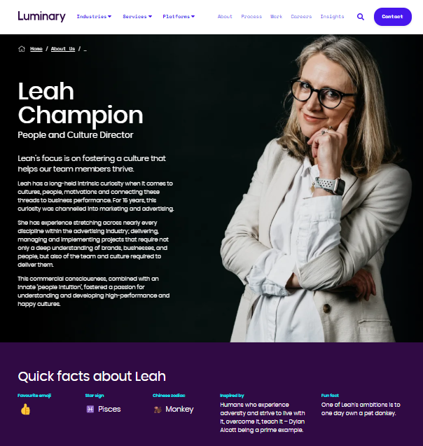 如何在 WordPress 中创建“团队介绍”页面 3 luminary meet the team 2