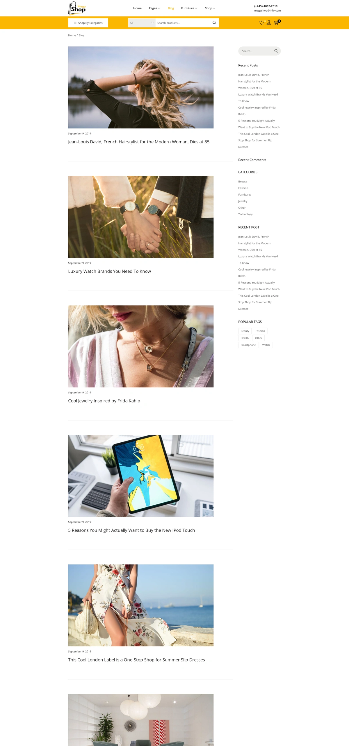 Mega Shop Shop 04 Blog