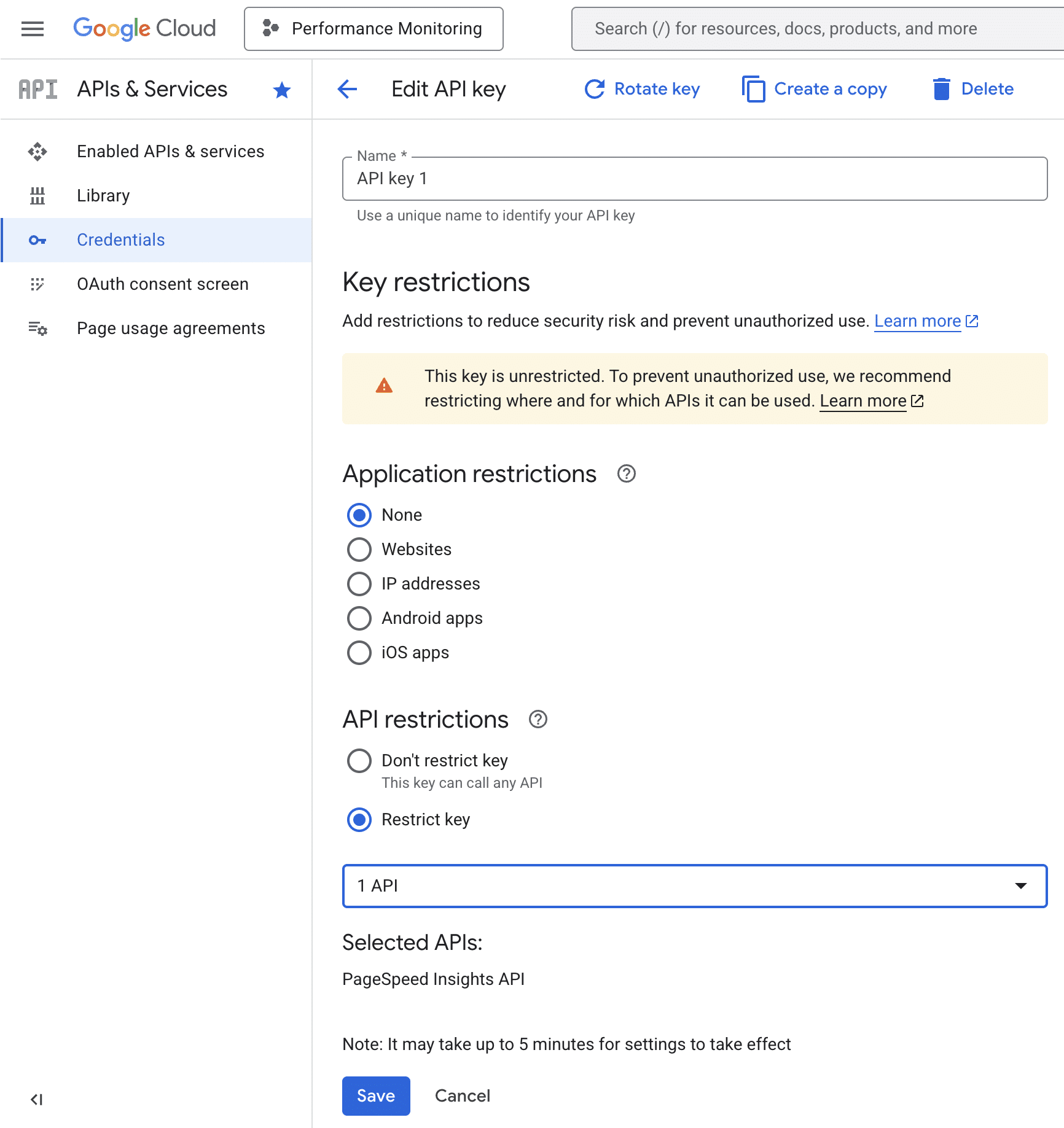 使用 PageSpeed Insights API 为您的 WordPress 机构自动执行性能检查 6 psi api restrictions 1