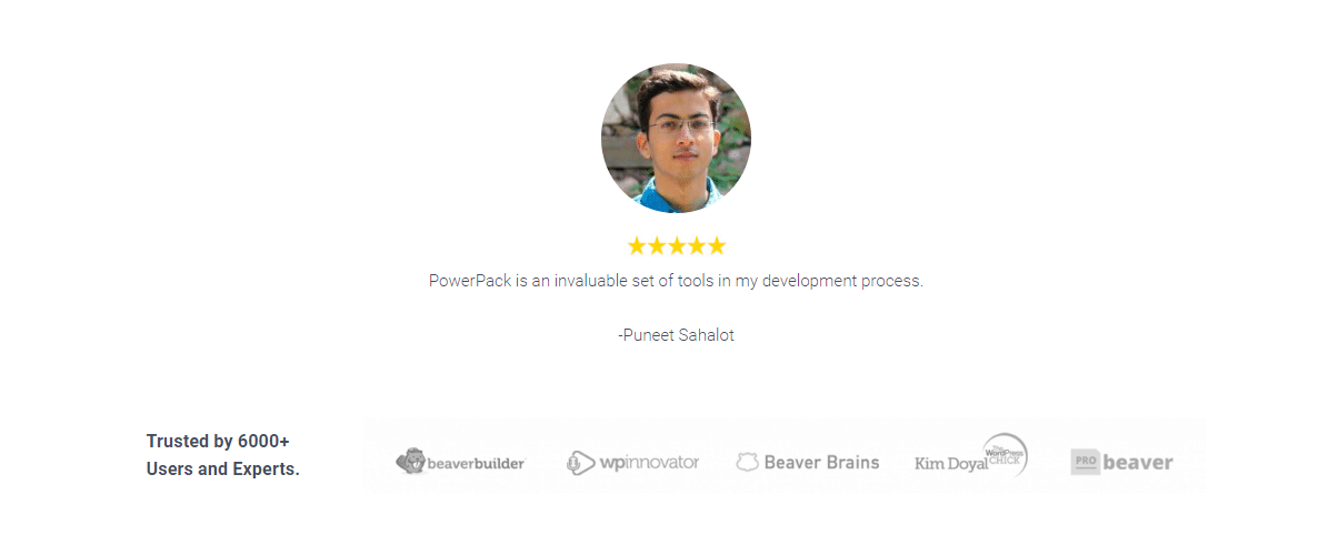 如何使用 WordPress 和 Beaver Builder 免费搭建一个着陆页 18 reviews final