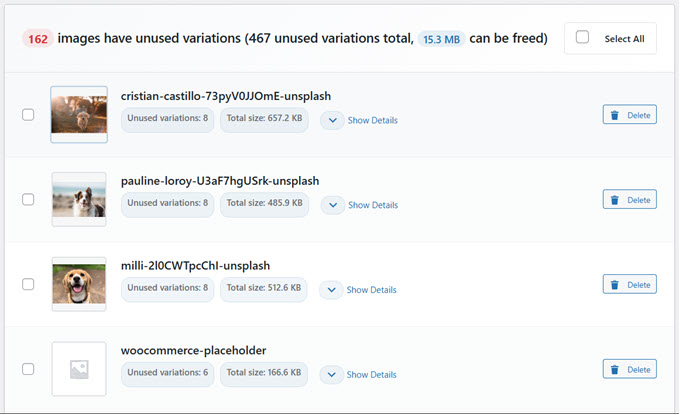 WPBeginner 聚焦 20:WordPress 存储清理、更智能的预览和自动化更新 2 scan results unused variations 1 1